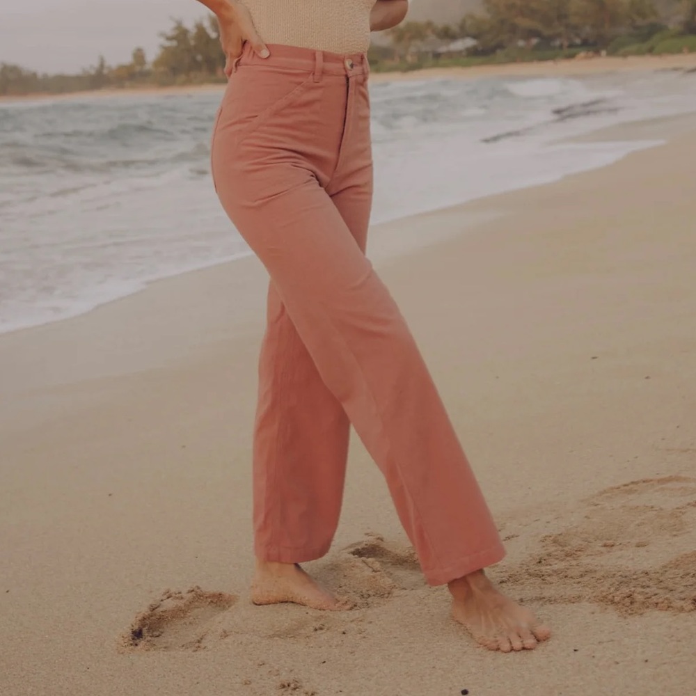 Mollusk Painter Pants